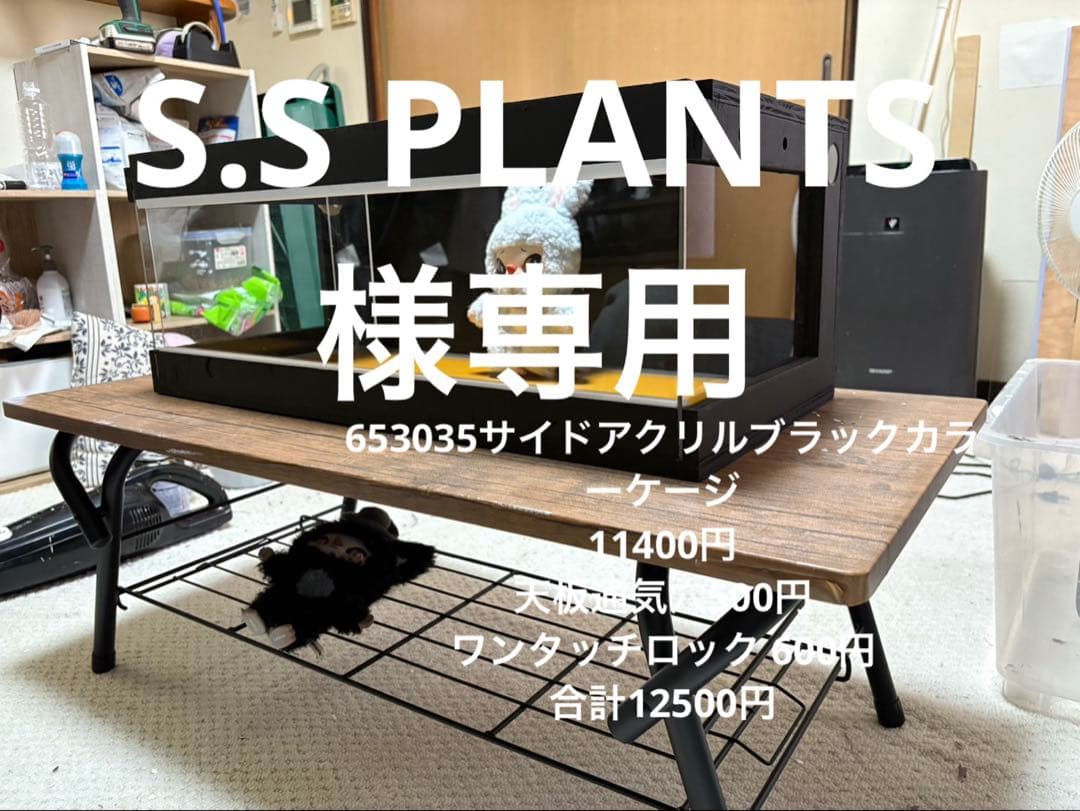 S.S PLANTS　653035