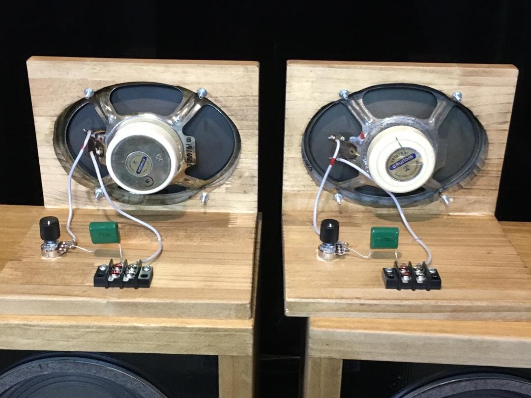 西独 Grundig ビンテージアドオン大型ツィータ 7059-6システム ペア