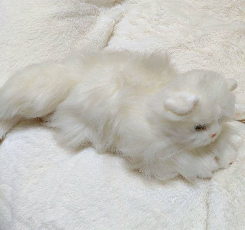 ペルシャ猫　入手困難　ヴィンテージ　廃盤　ペルシャ　ねこ　希少　アンティーク