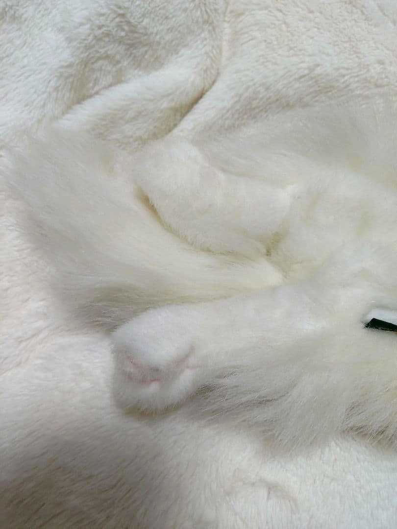 ペルシャ猫　入手困難　ヴィンテージ　廃盤　ペルシャ　ねこ　希少　アンティーク