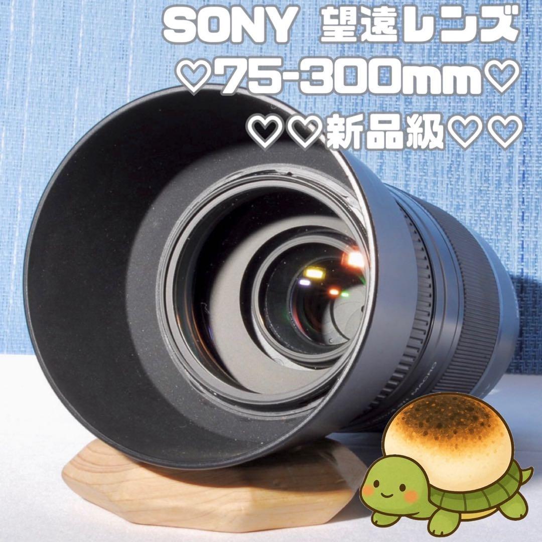 ✨SONY ソニー 75-300mm F4.5-5.6　超望遠ズームレンズ✨