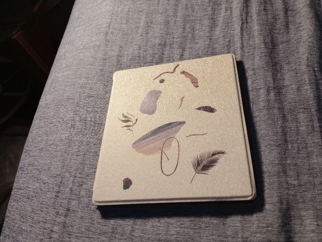 BOOX Page 電子書籍リーダー（ケース・箱付き）