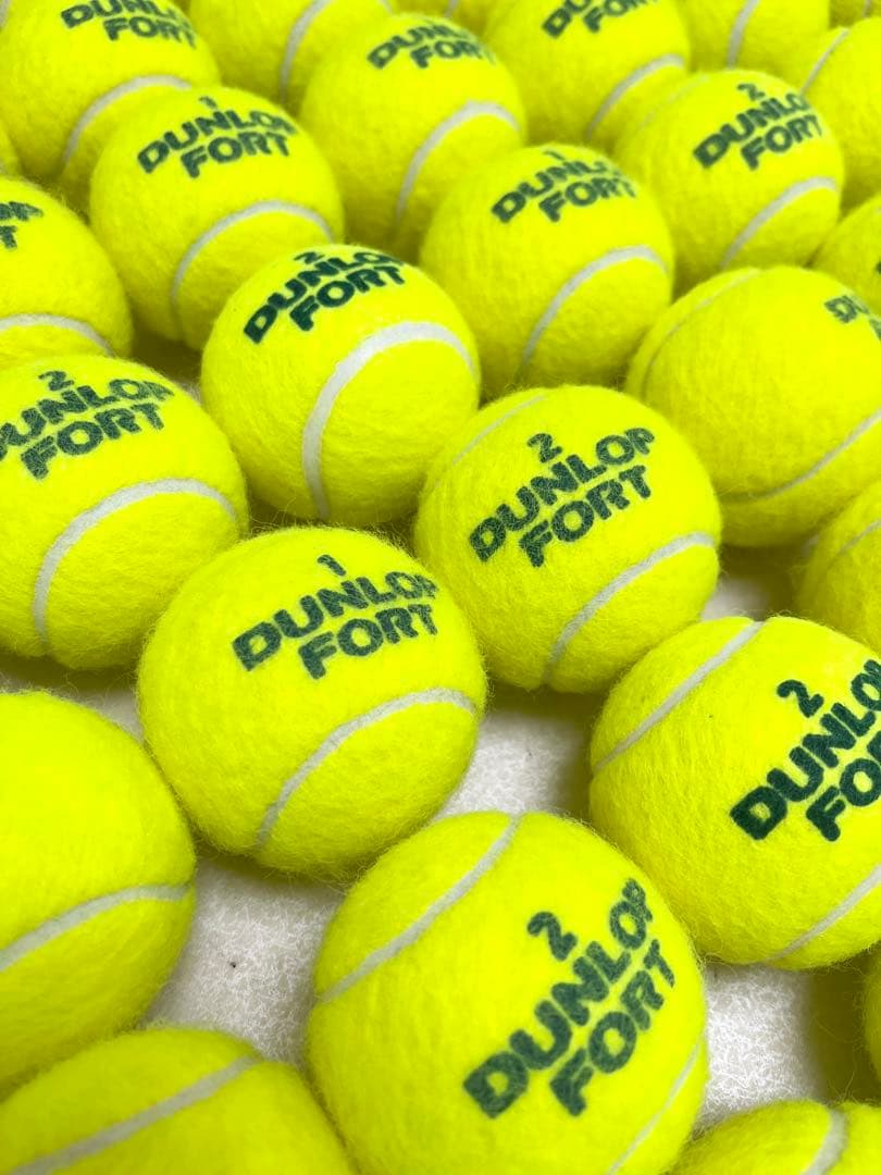 ダンロップフォート172球　中古品