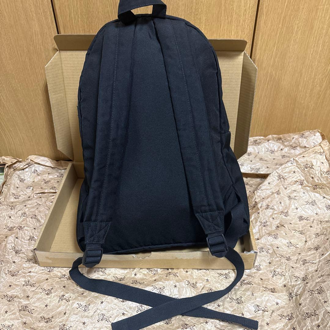 ポロ ラルフローレン バックパック マルチカラー ポニー刺繍 博多阪急購入品