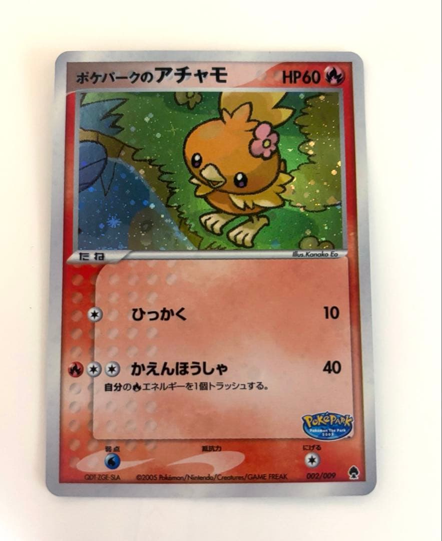 ポケパークフォレストシート＆カード