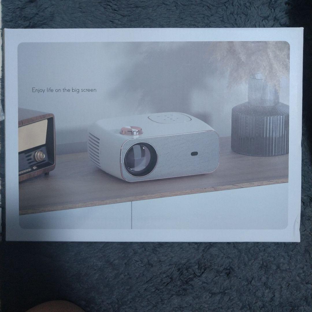 FunFlix プロジェクター RD-882