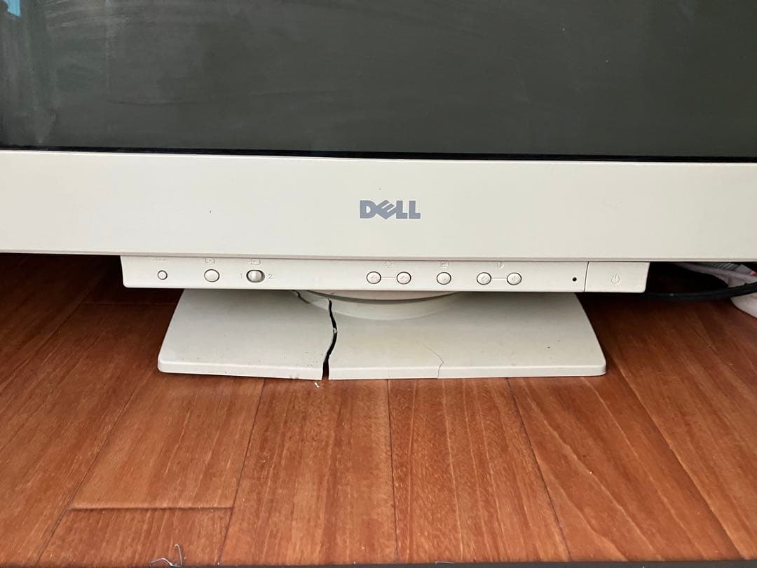 DELL 21インチ Trinitron P1110 CRTモニター　動作確認済