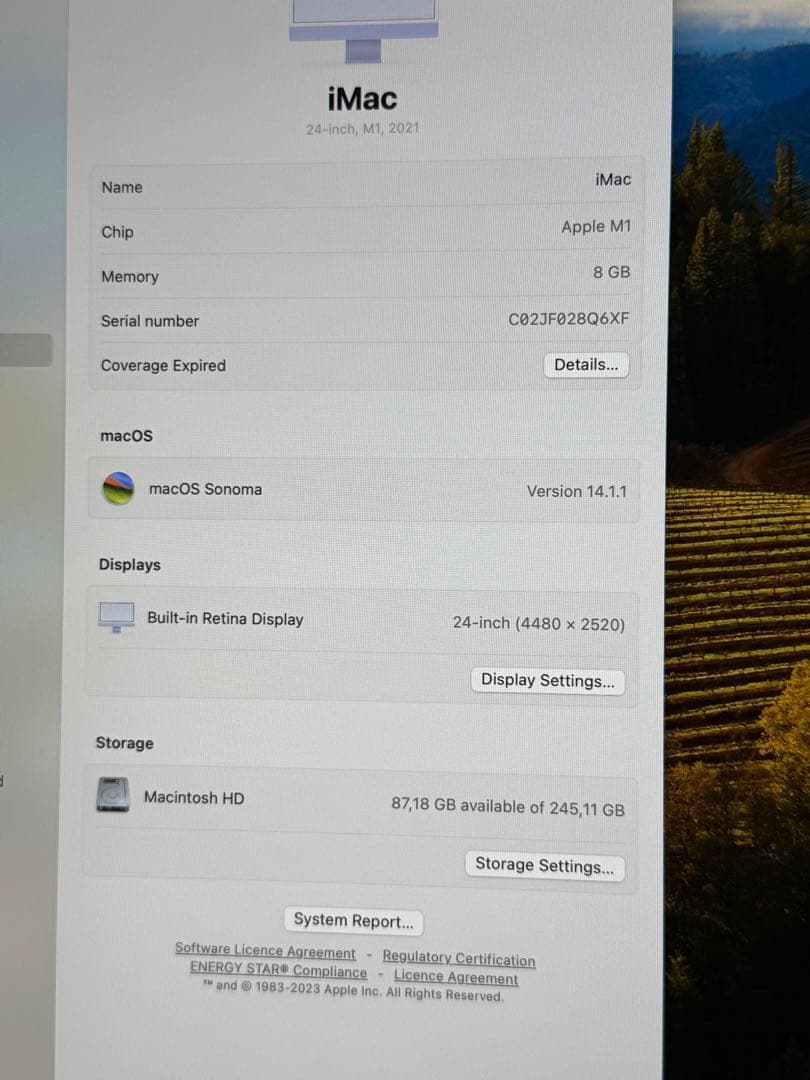 Apple iMac 24インチ（M1, 2021） 8GB