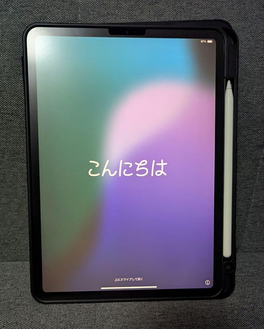 iPad Pro 11\
