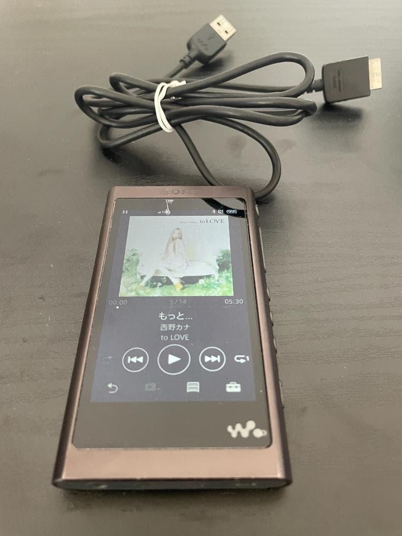 Sony Walkman A50 Series 16GB 充電ケーブル付