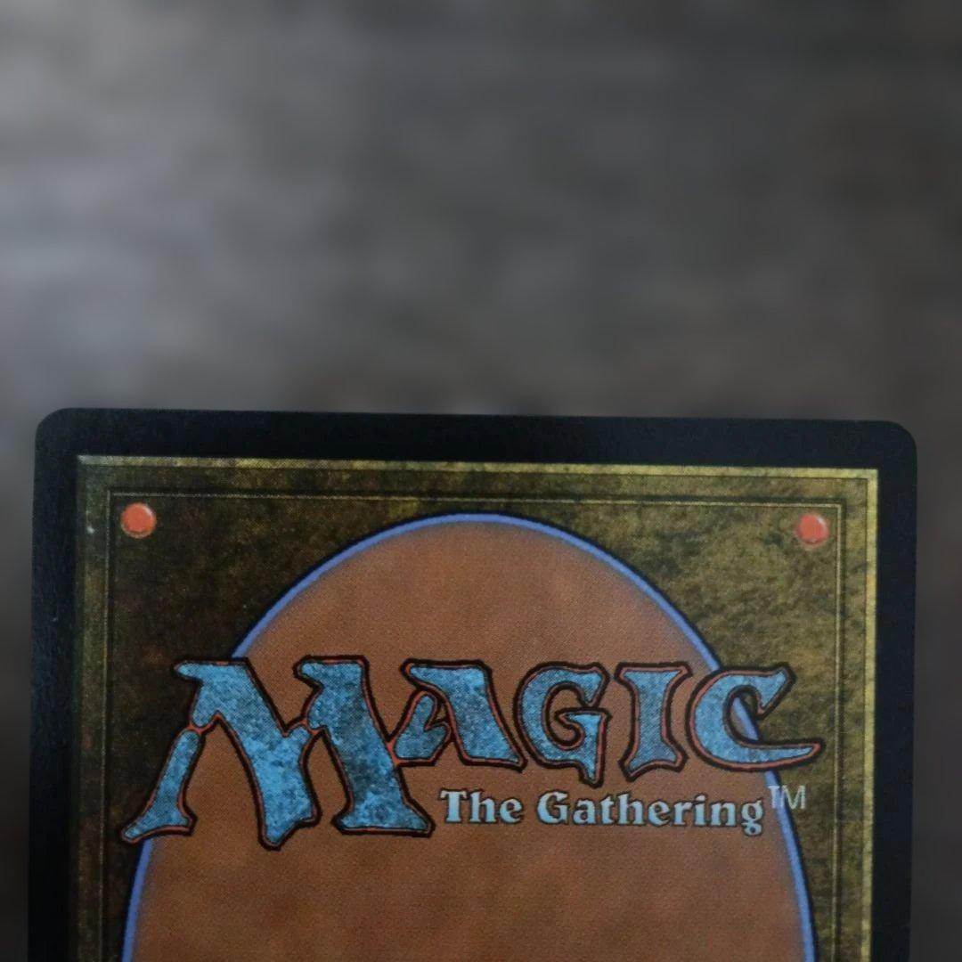 モ*ー様 【エラーカード】旅するチョコボ