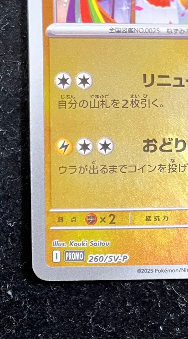 トウホクのピカチュウ　①