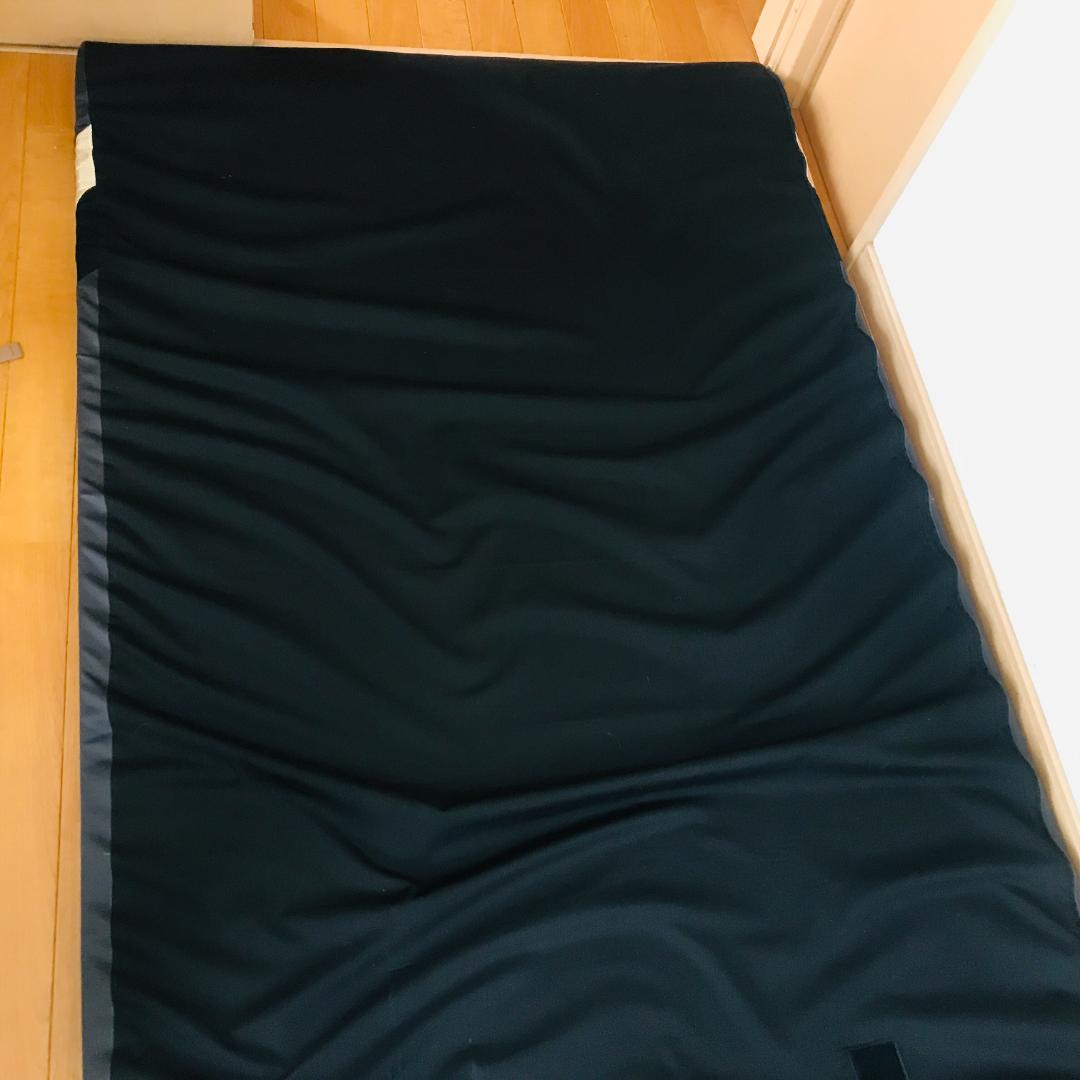 西川 エアーポータブル モバイルマット 限定ゴールドモデル