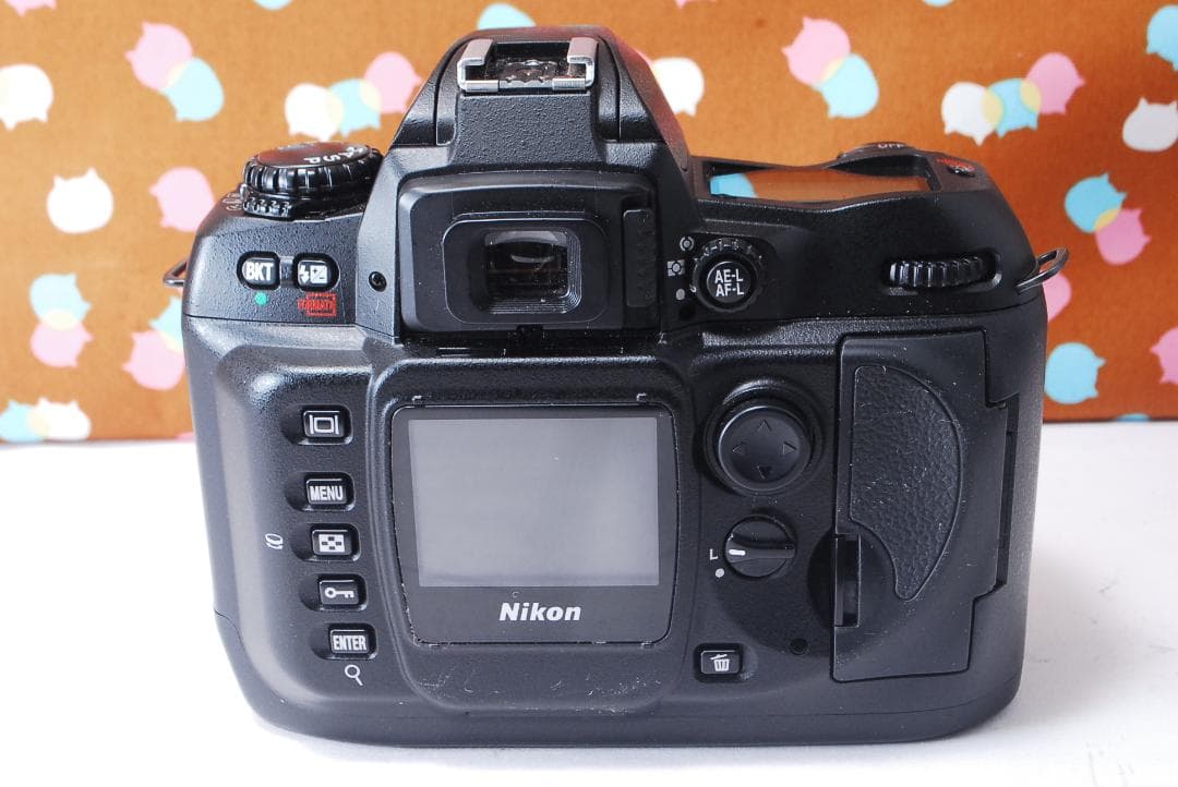 ✨美品✨ハイアマチュア機✨Nikon D100 レンズセット
