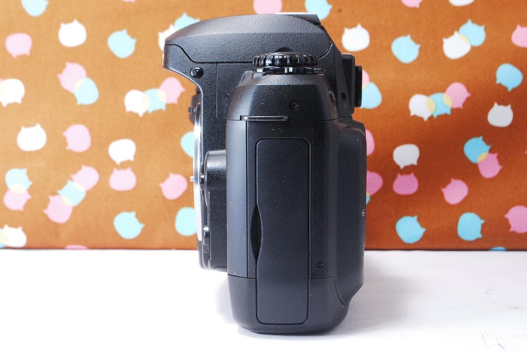 ✨美品✨ハイアマチュア機✨Nikon D100 レンズセット