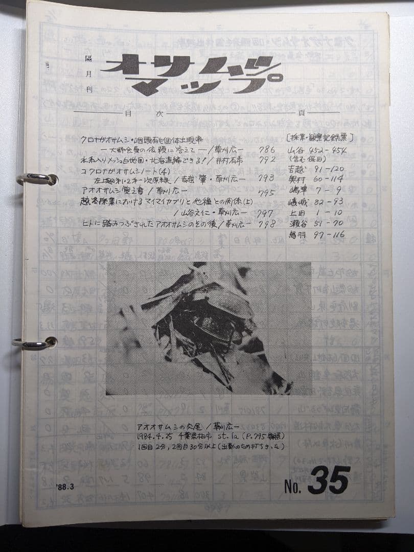 オサムシマップ 12-41不揃い