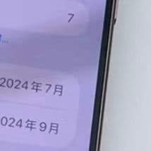 Apple iPhone 16 Pro Max Desert 256GB CA版