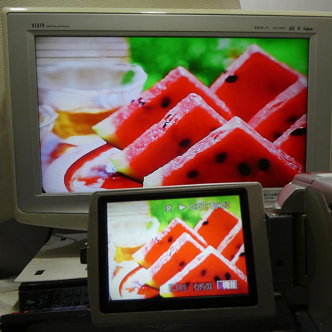 動作品 ソニーDCR-TRV50 MiniDV ビデオカメラ DVDダビングに