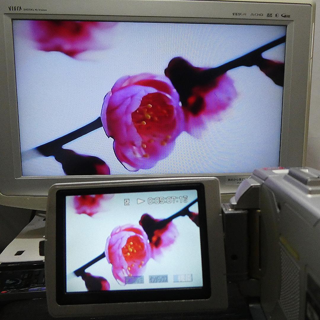 動作品 ソニーDCR-TRV50 MiniDV ビデオカメラ DVDダビングに