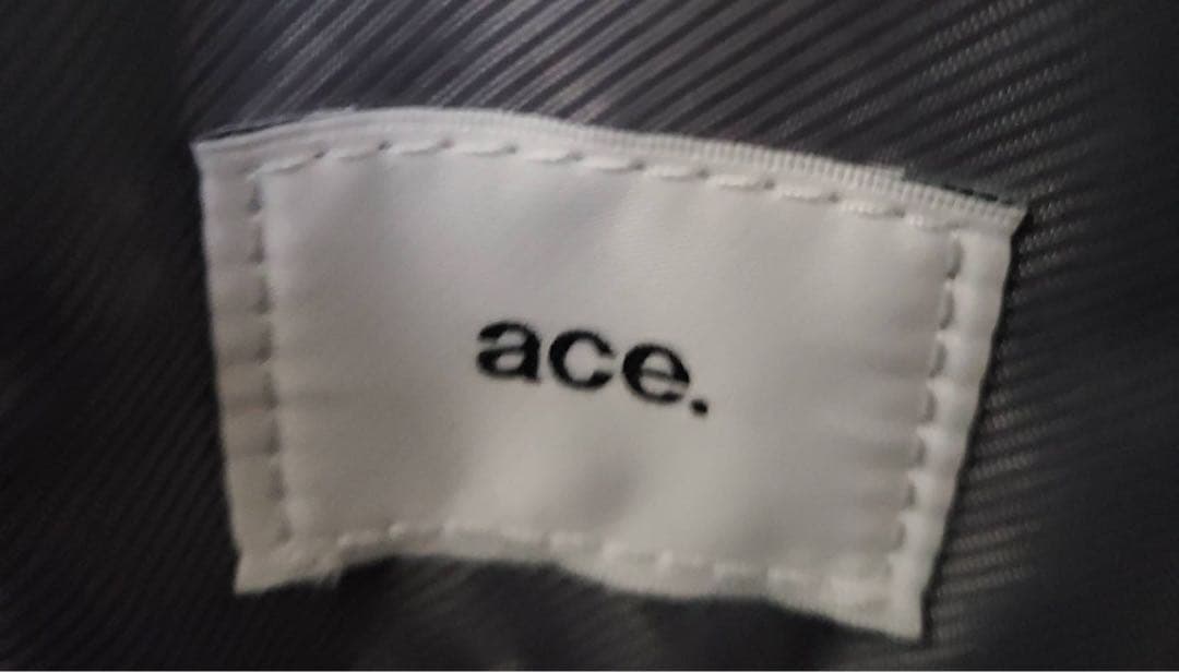 【ace.GENE】EVL-3.5 3WAY バックパック ブリーフケース 黒