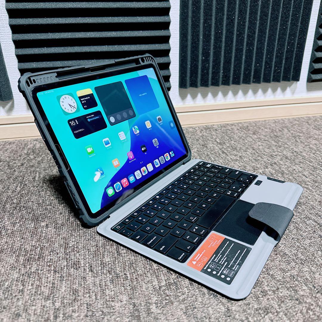 美品 iPad Pro 11インチ第3世代wifi + cellular本体のみ