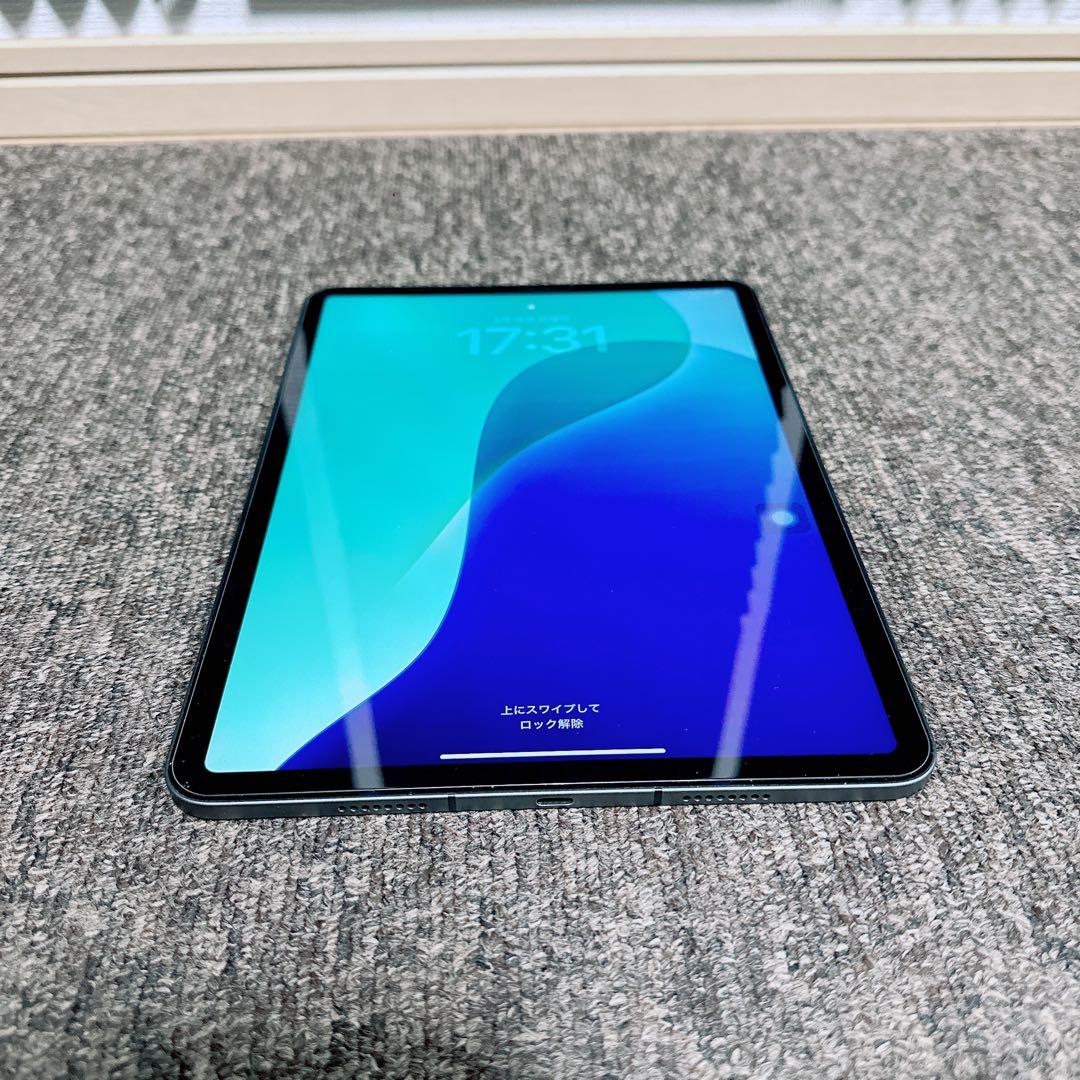美品 iPad Pro 11インチ第3世代wifi + cellular本体のみ