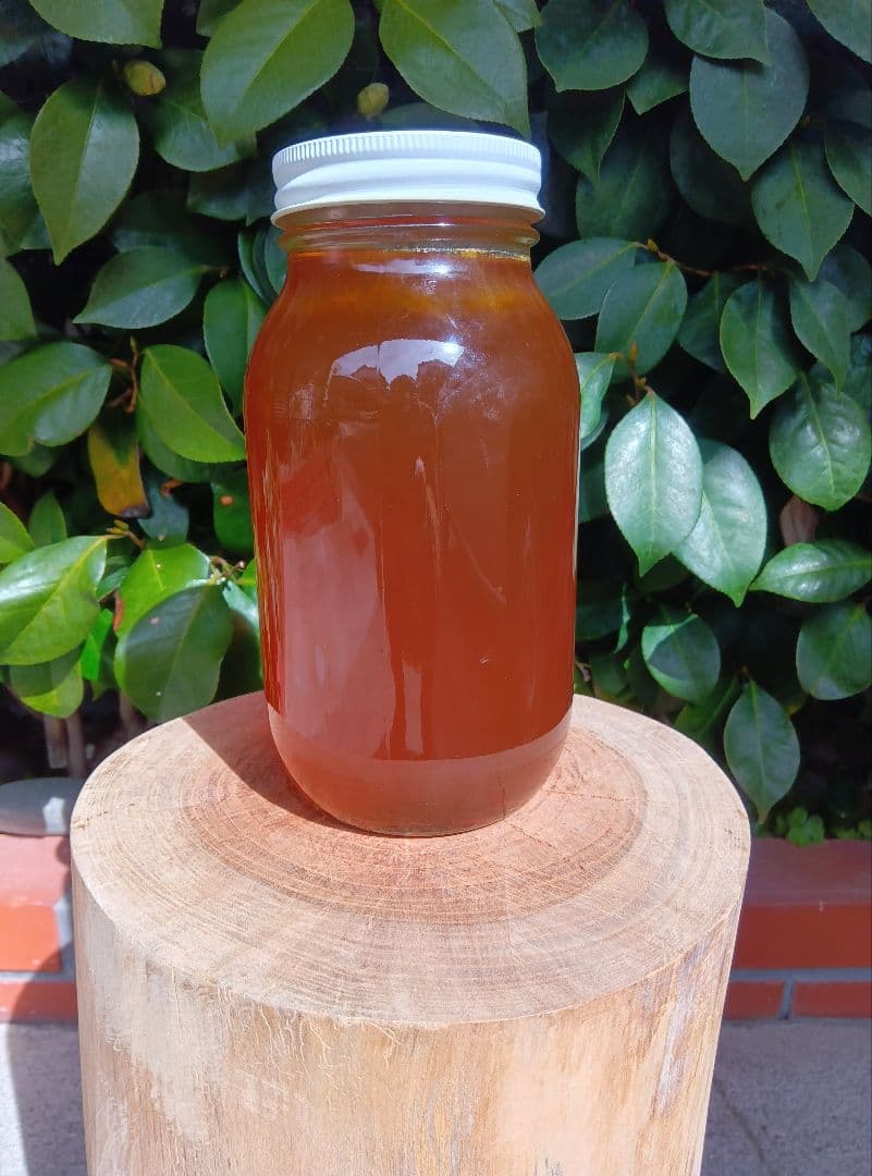 南国土佐の百花蜜　ニホンミツバチはちみつ　無添加　無加工　1200g