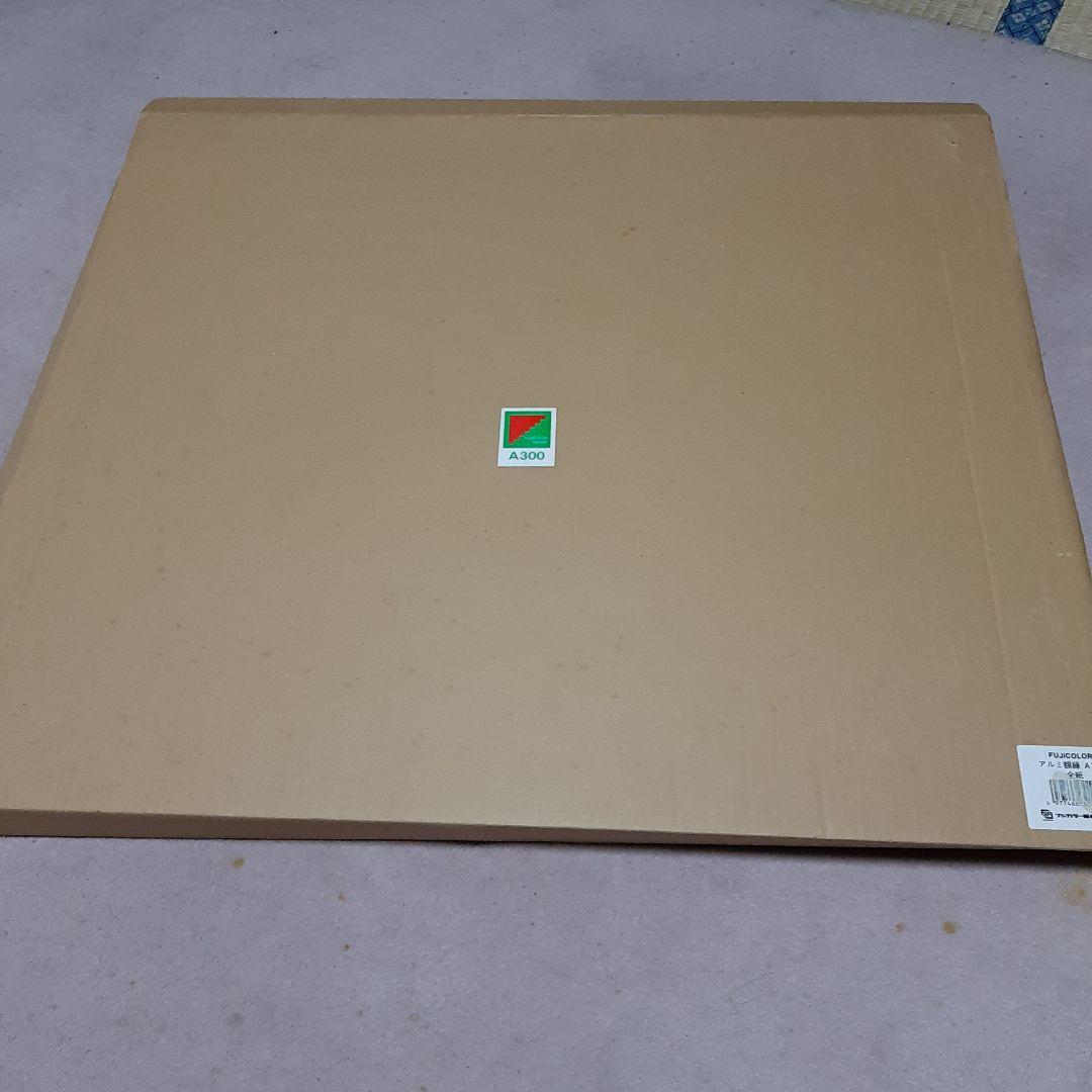 フジカラー A300 全紙 アルミ額縁