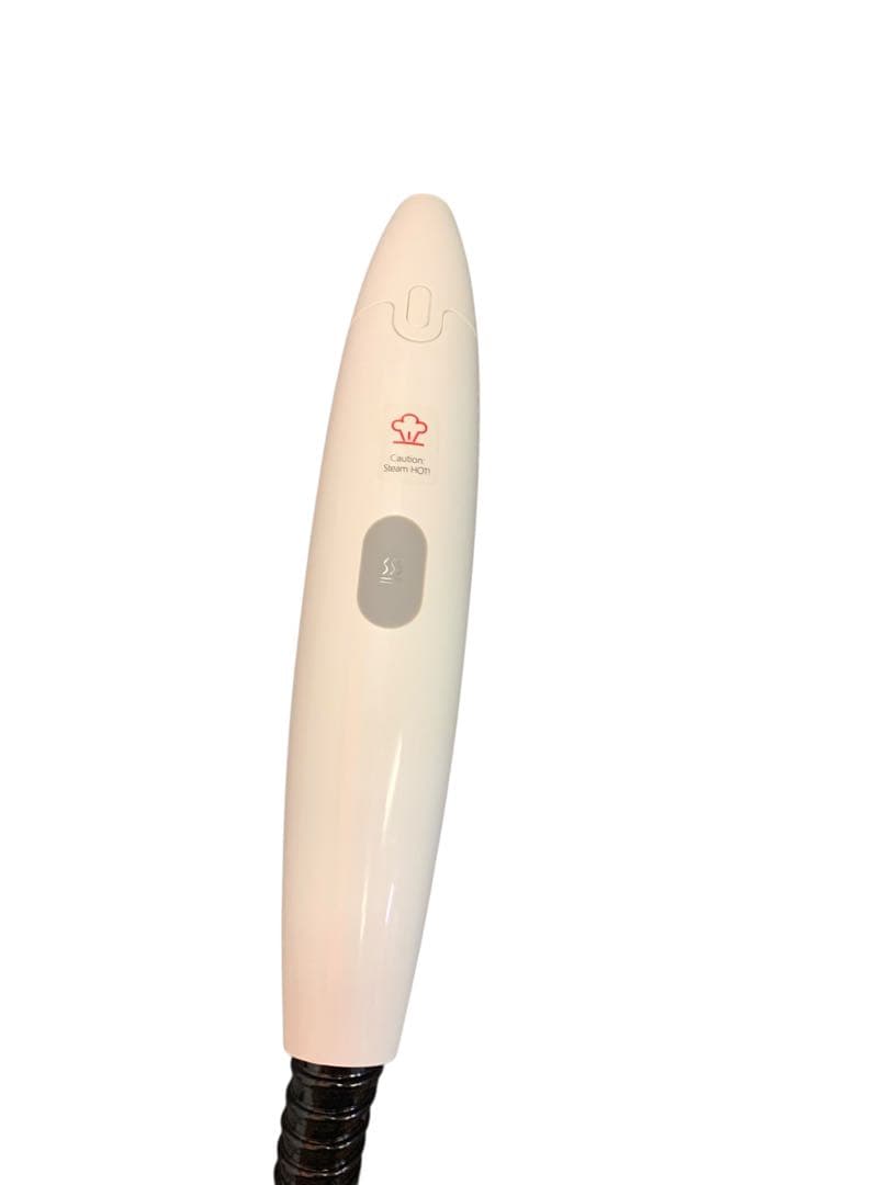 【開封済・未使用】Dayoo PSW001 スチームクリーナー 高圧洗浄 除菌