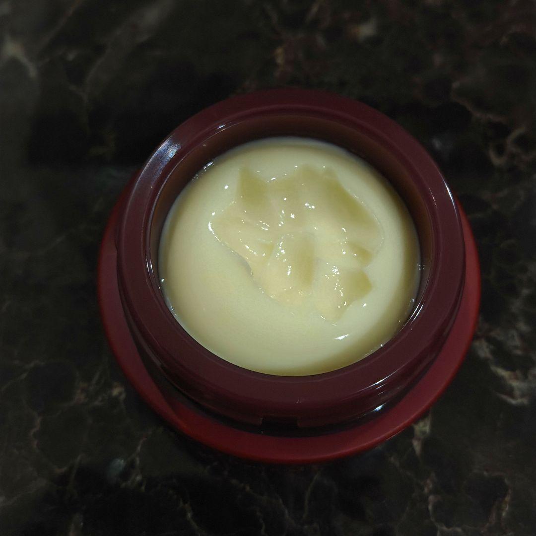 Aurelie オレリー　MEGUMIプロデュース　５点セット