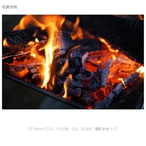 【新品】ソニー 標準単焦点レンズ FE50mm F2.5 G SEL50F25G