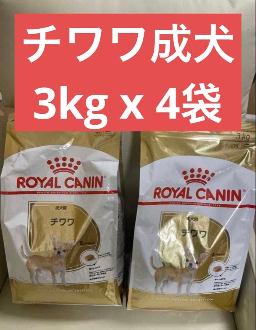  CANIN チワワ成犬 3キロ 4個セット