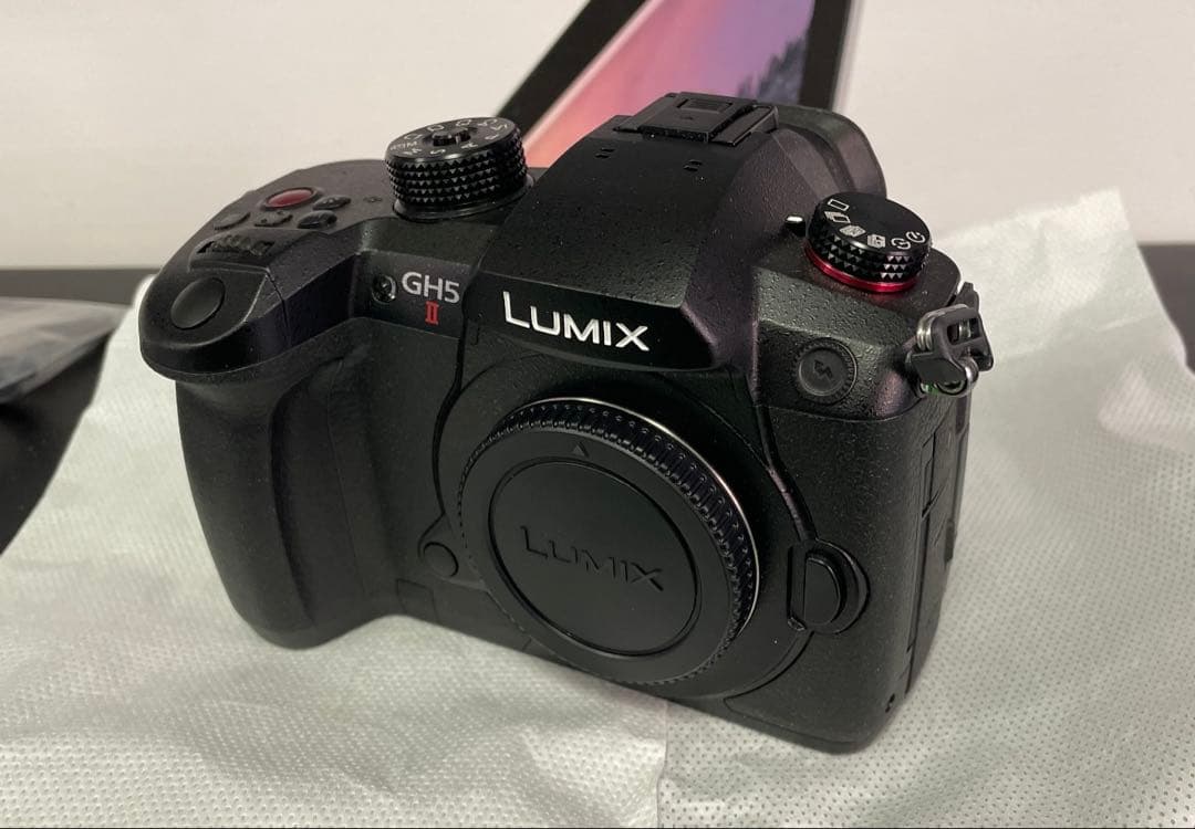 【超美品／シャッター回数極少】Panasonic LUMIX DC-GH5M2M