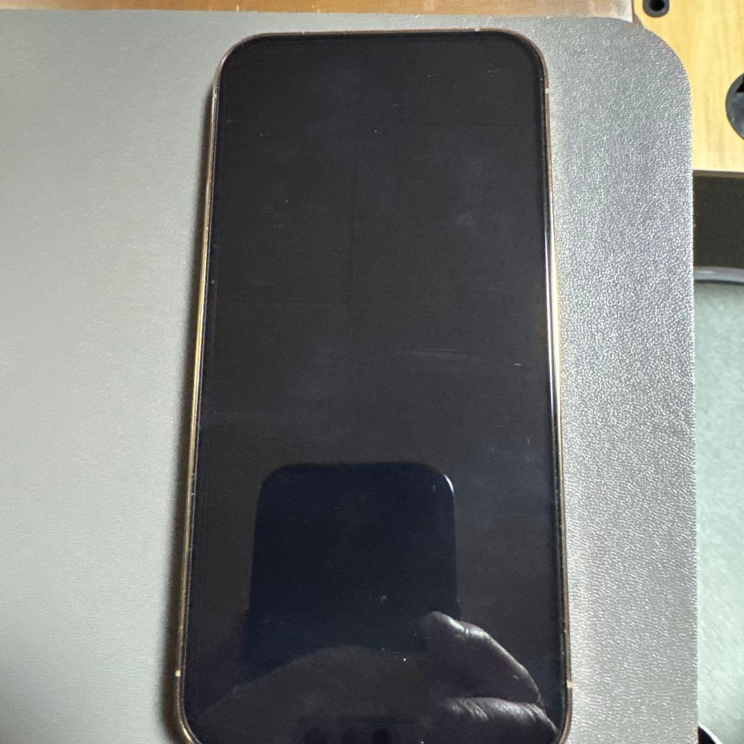 Apple iPhone 13 Pro と ケース4種類　秋さま専用