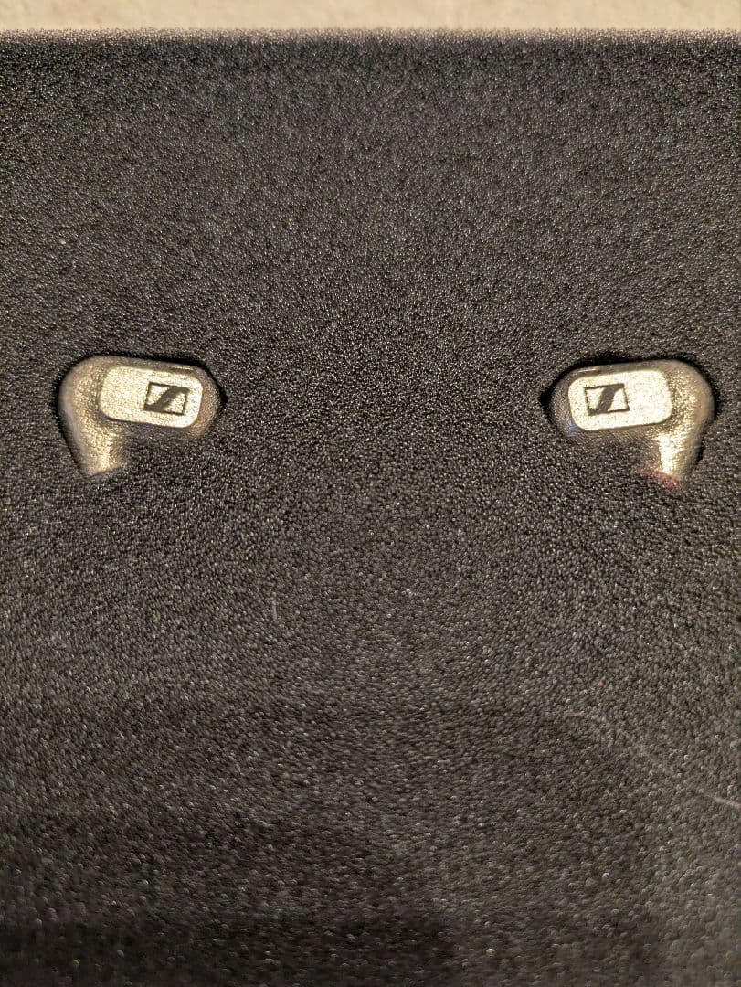 Sennheiser ゼンハイザー　IE600 有線イヤホン