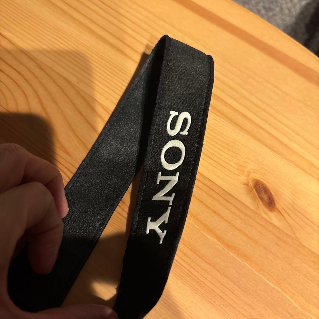 SONY ソニー　DSC-RX10M Ⅳ