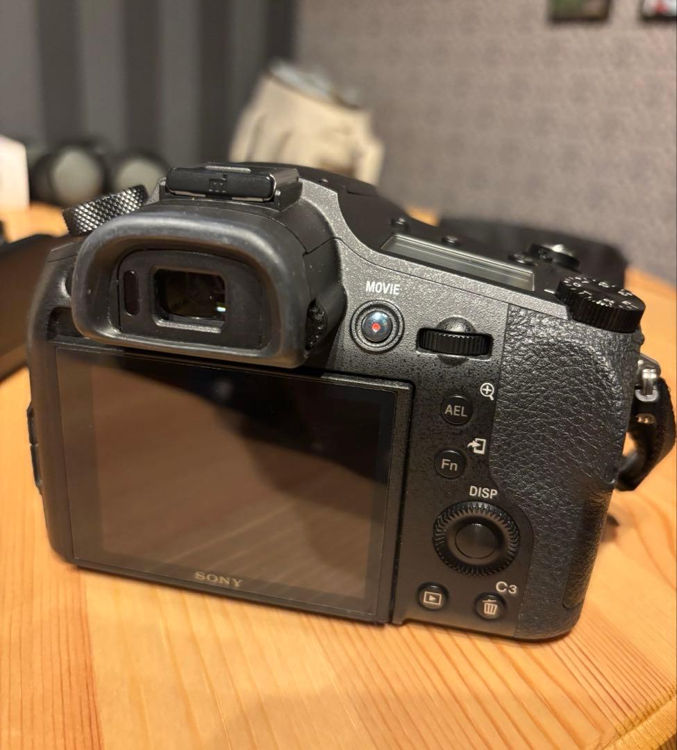 SONY ソニー　DSC-RX10M Ⅳ