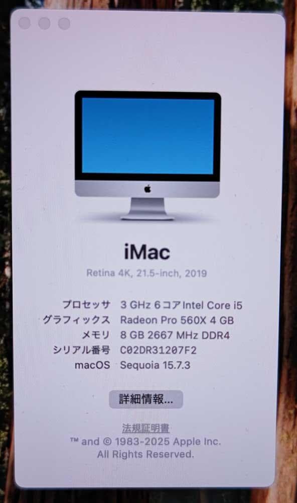 iMac 4K 21.5インチ 2019 8GB SSD256GB