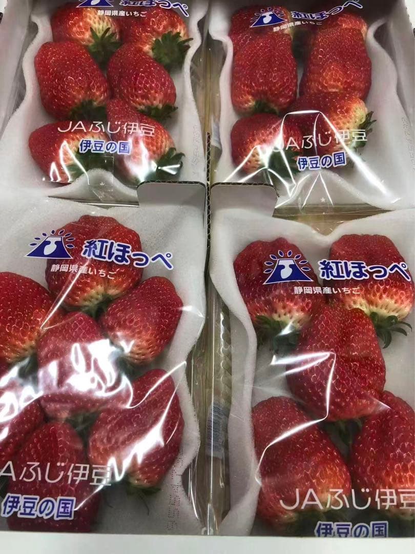467.お買得静岡県産フレッシュいちご紅ほっぺ4パック入り×4箱常温発送