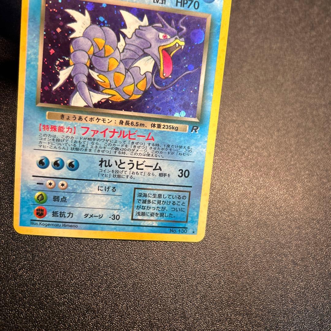 わるいギャラドス Lv.31 No.130