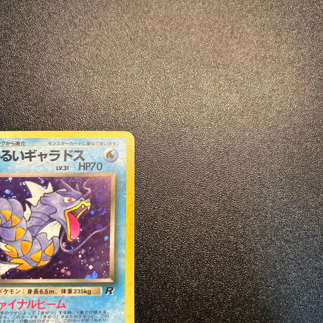 わるいギャラドス Lv.31 No.130