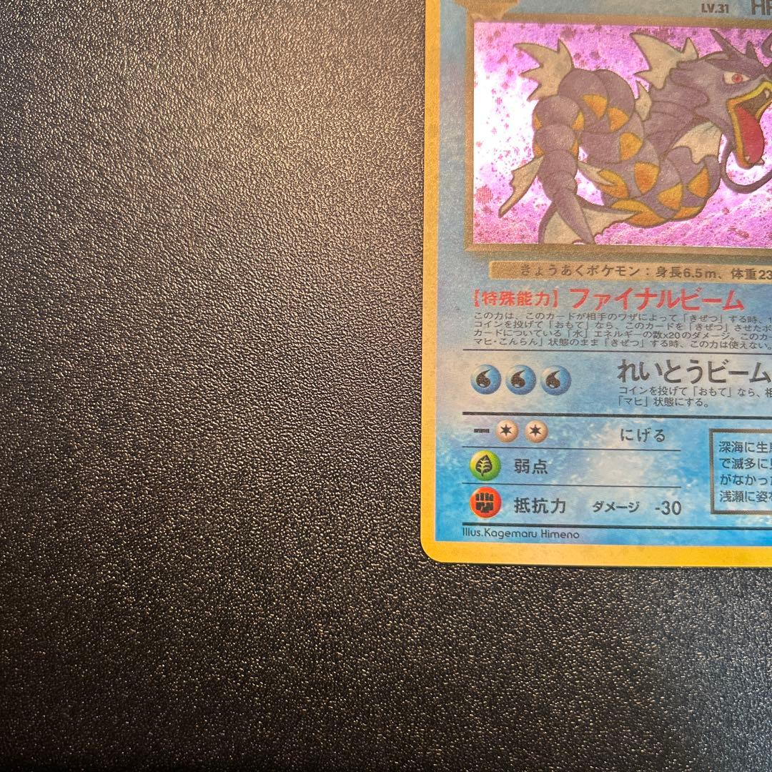 わるいギャラドス Lv.31 No.130