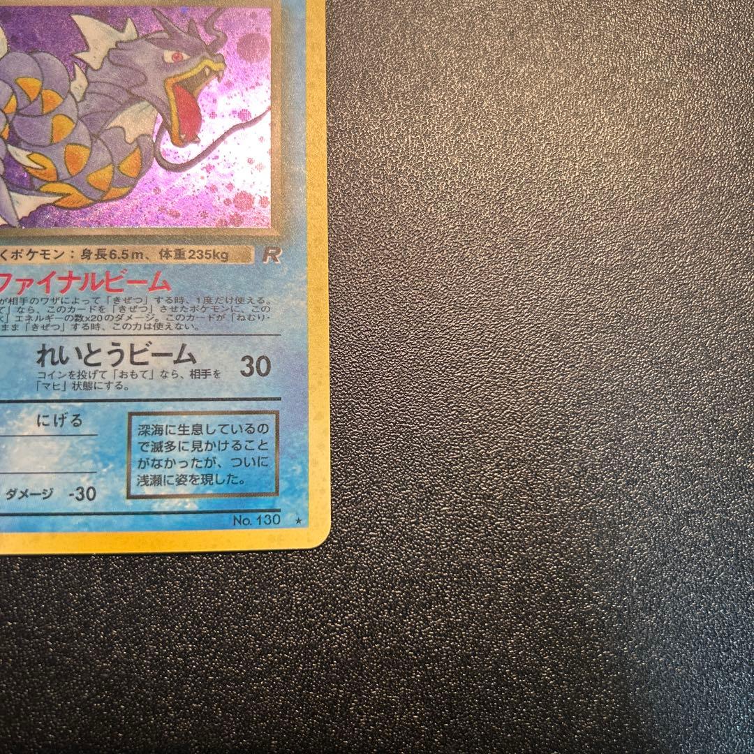 わるいギャラドス Lv.31 No.130