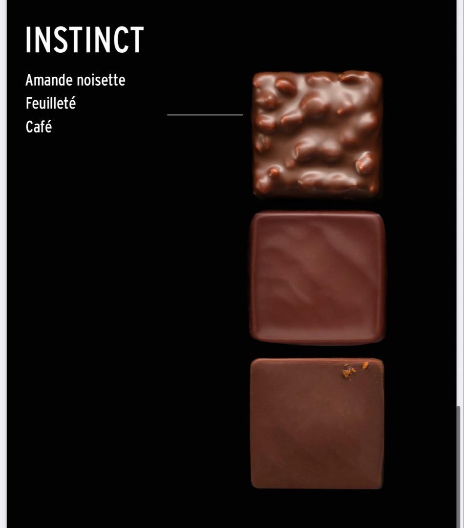 PatrickRoger ショコラアソート　9個入り　パトリックロジェ