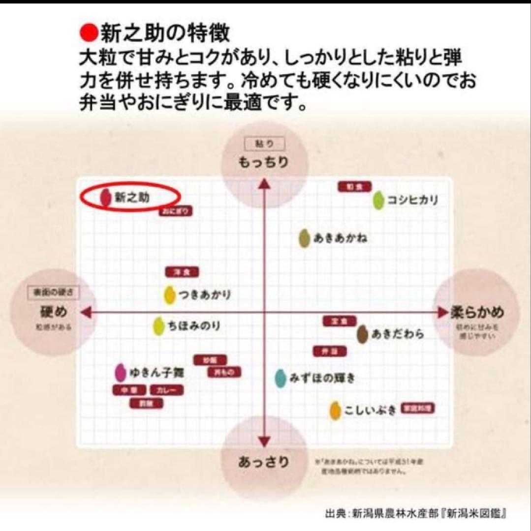 【米処本場】新潟の新ブランド米『新之助』10kg(5kg×2袋)★送料無料★