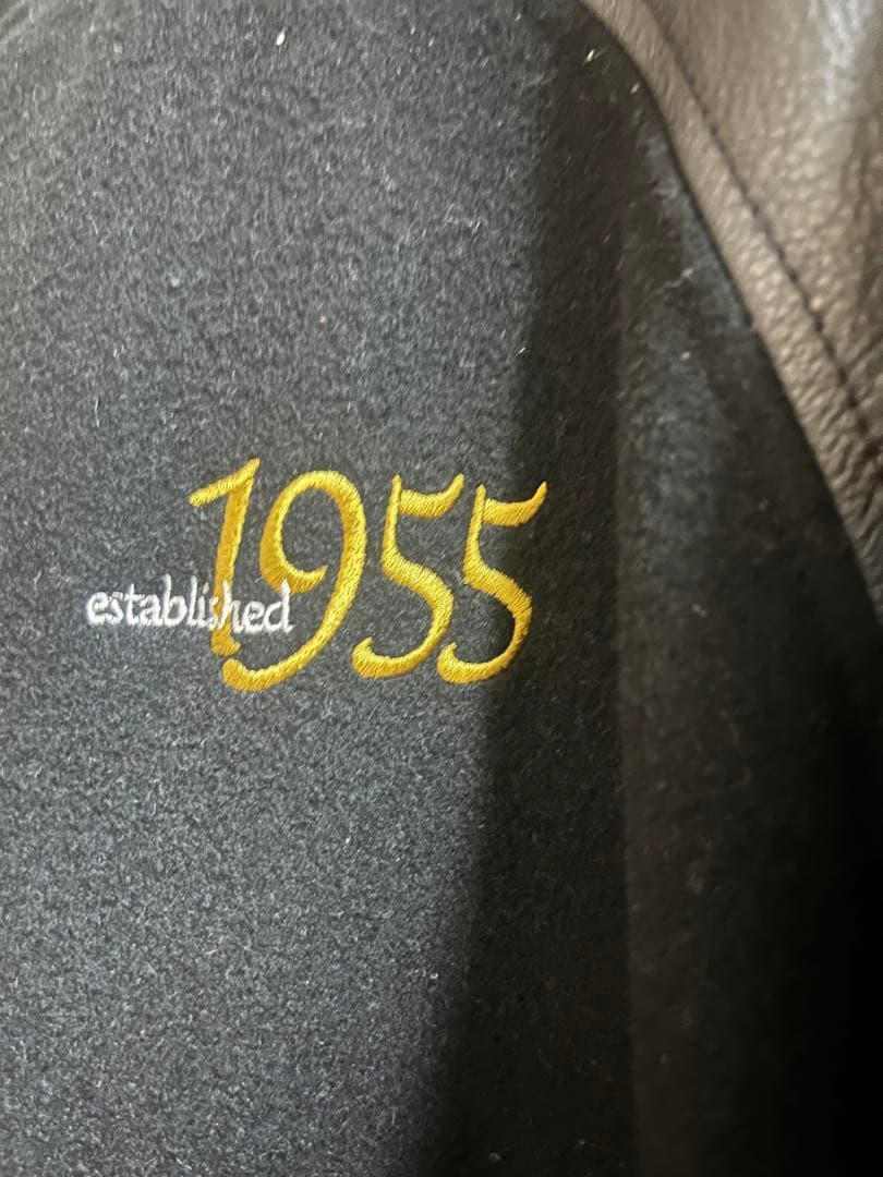 ディズニースタジャン　ディズニーランド 50周年 ジャケット　レア物