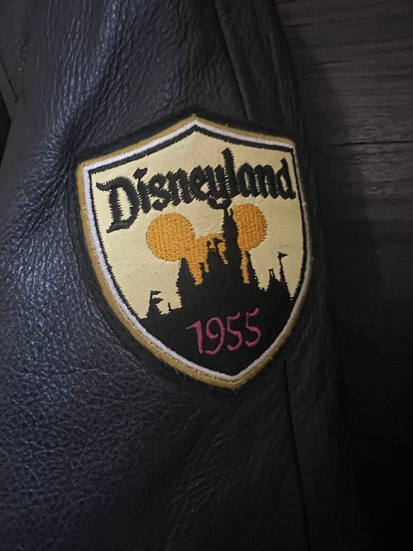 ディズニースタジャン　ディズニーランド 50周年 ジャケット　レア物
