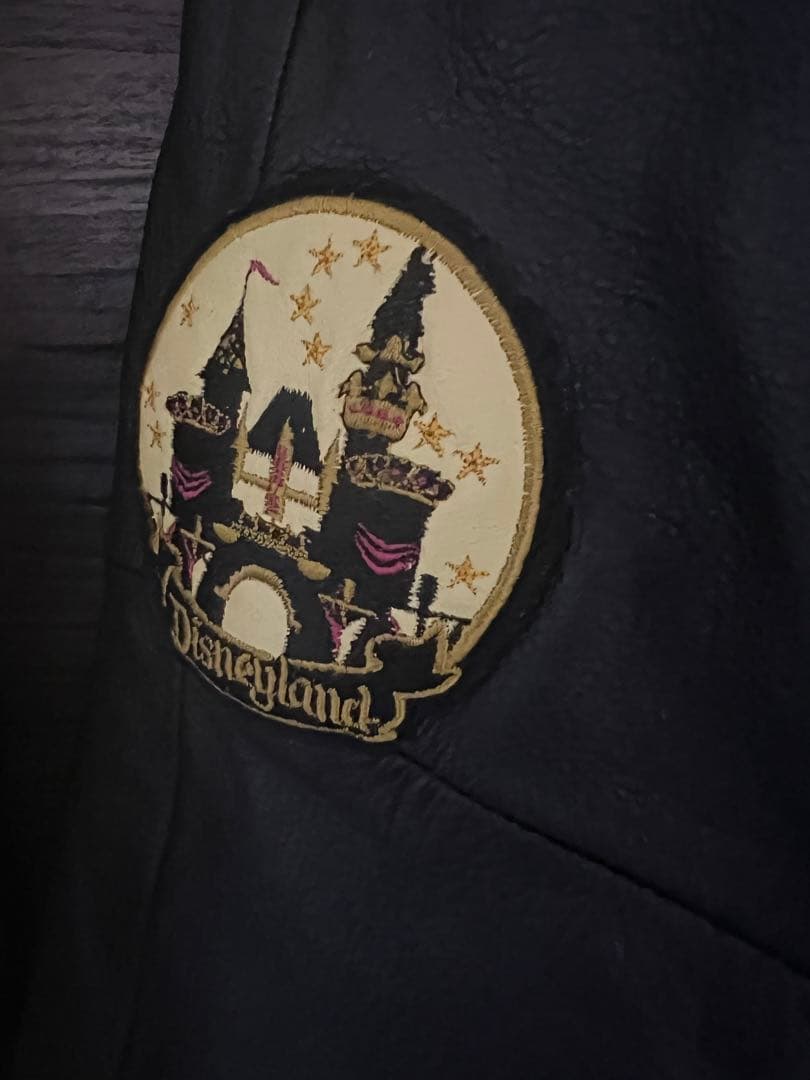 ディズニースタジャン　ディズニーランド 50周年 ジャケット　レア物