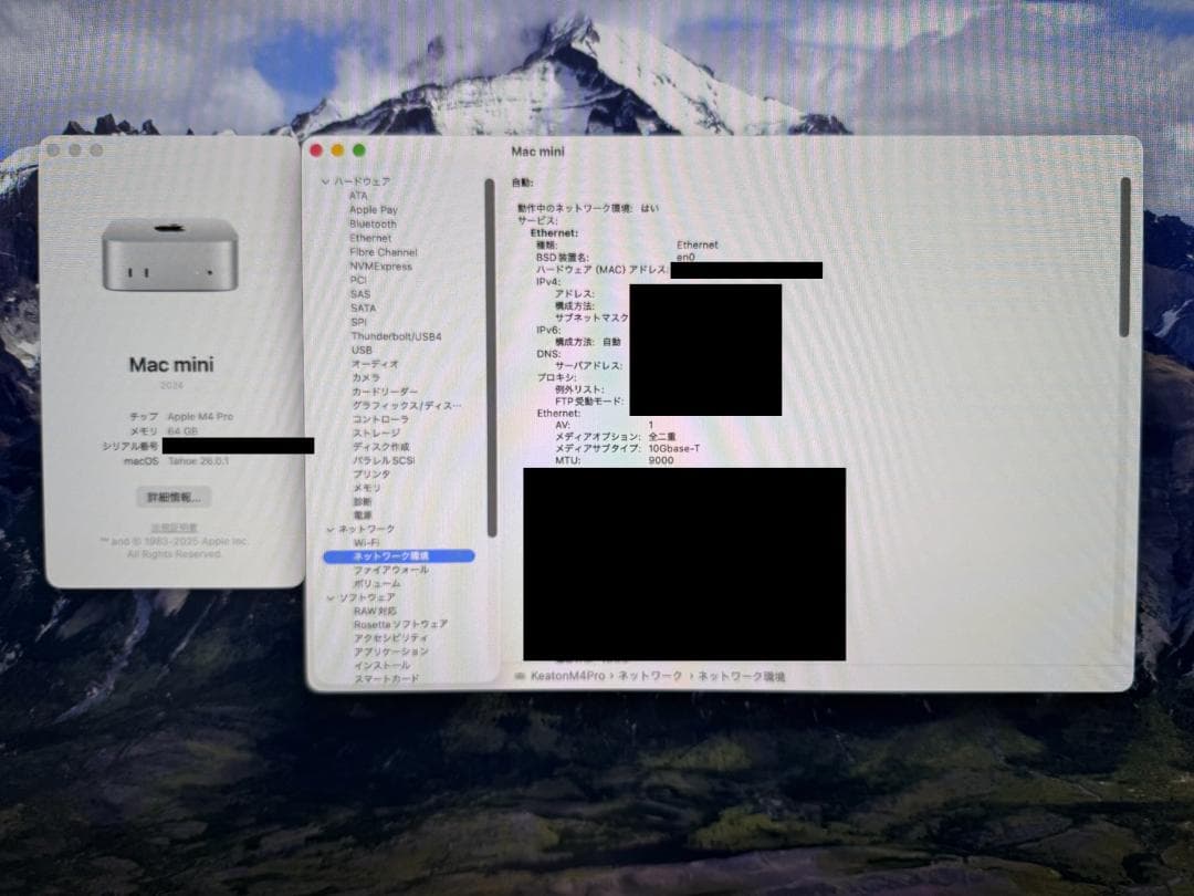 Mac mini M4 Pro 14コア 64GB 1TB 10Gbitイーサ