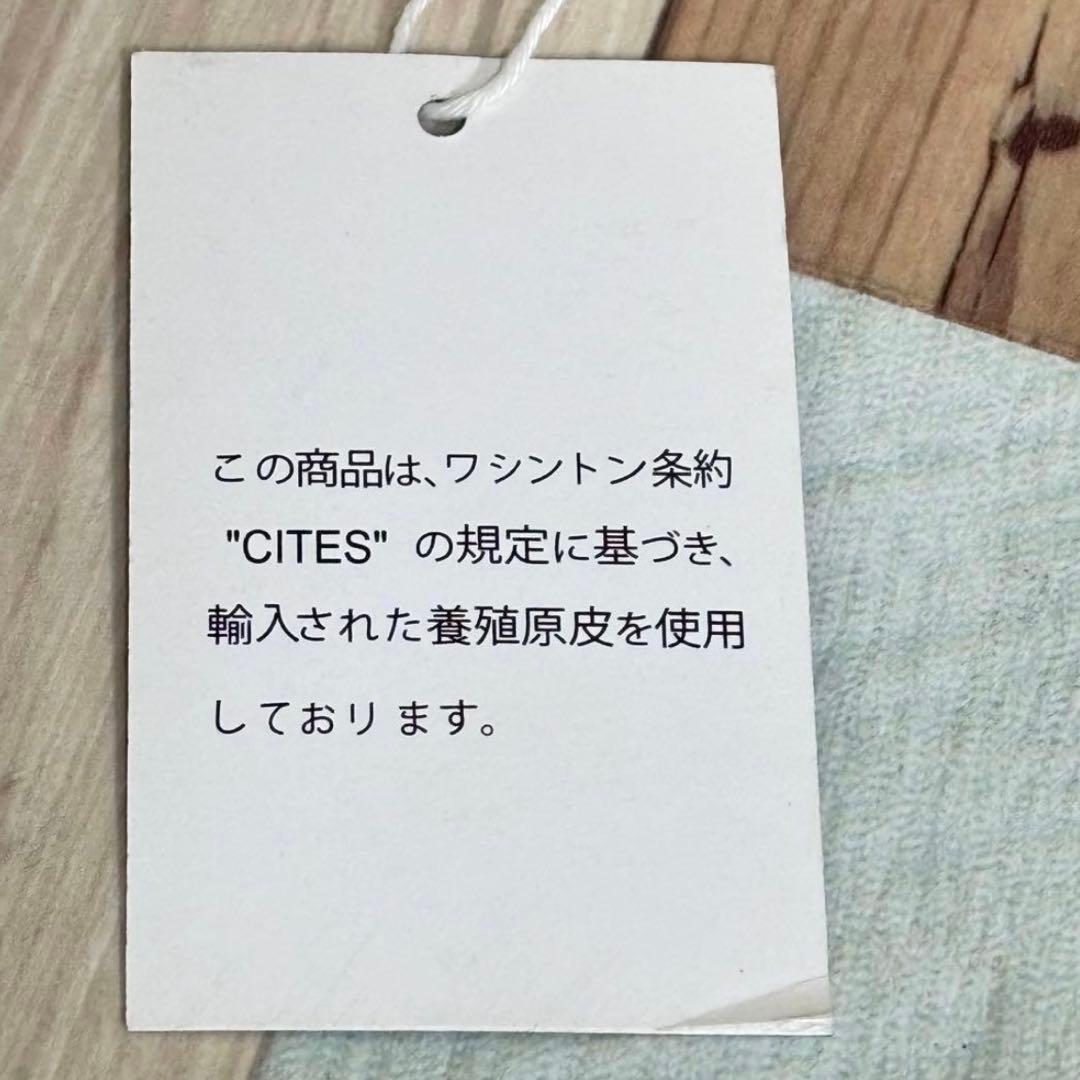 クロコダイル ハンドバッグ 2WAY ショルダーバッグ　シャイニング　アルムコ